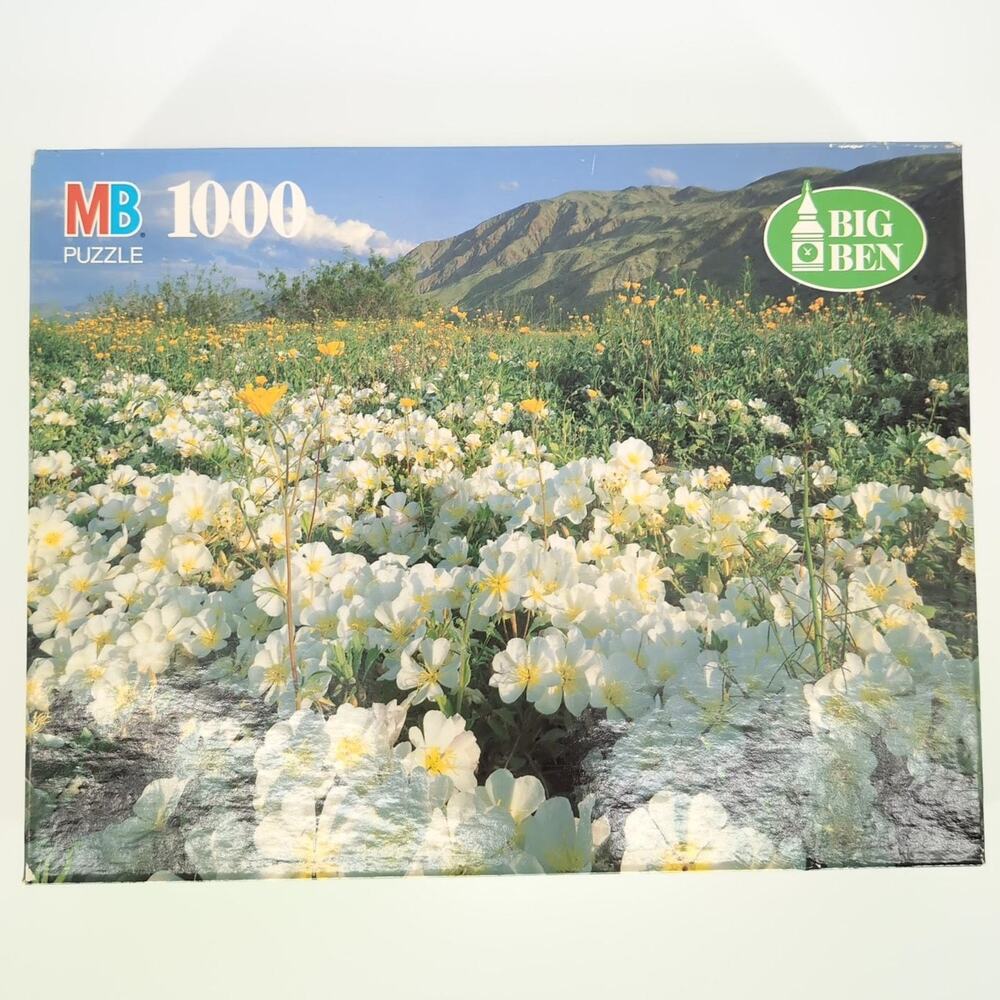MB Milton Bradley 1000 Piece Anza-Borrego Desert State Park, CA Jigsaw Puzzle GC